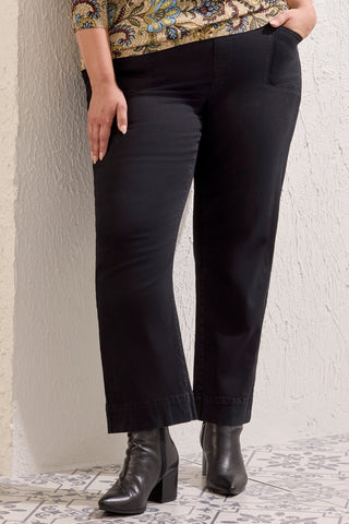 Size Inclusive Comfort Stretch Pull-On Straight Leg Ankle Pants-Black
