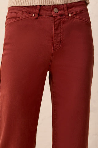 Comfort Stretch Wide Leg Pull-On Pants-Henna