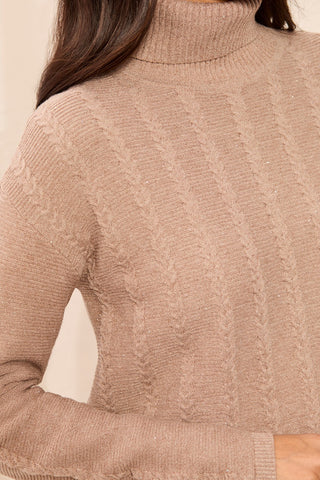 Chandail À Mailles Torsadées Et Col Montant Scintillant-Pashmina foncé